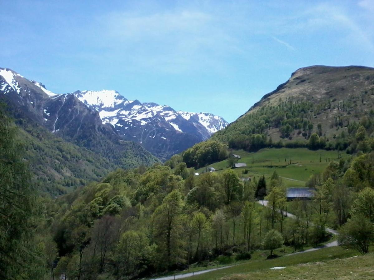 Appartement Habas Estaing Hautes Pyrenees Val D'Azun Kültér fotó