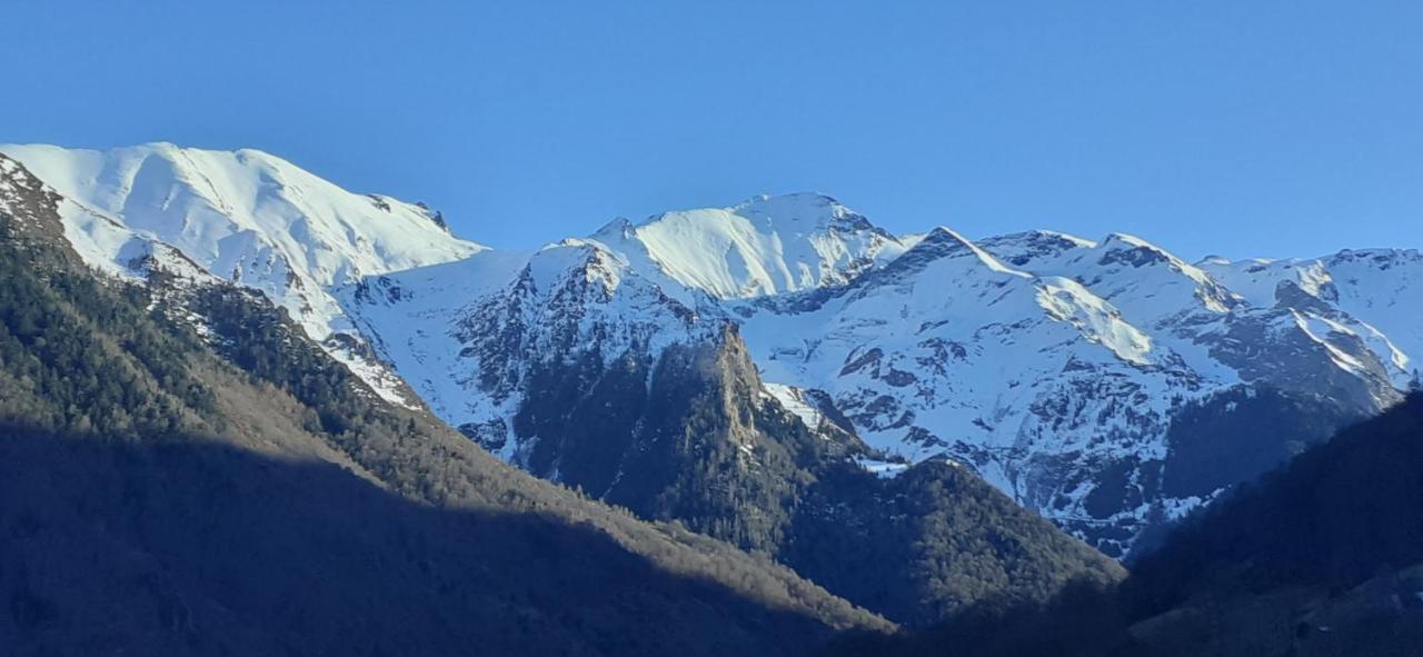 Appartement Habas Estaing Hautes Pyrenees Val D'Azun Kültér fotó