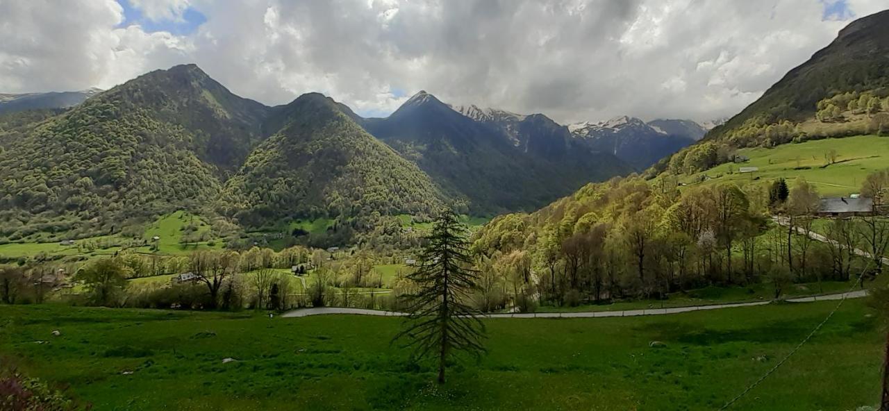 Appartement Habas Estaing Hautes Pyrenees Val D'Azun Kültér fotó