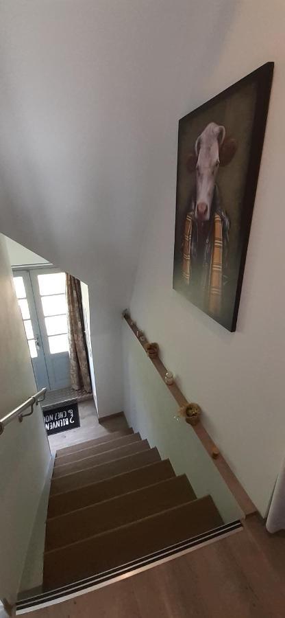 Appartement Habas Estaing Hautes Pyrenees Val D'Azun Kültér fotó