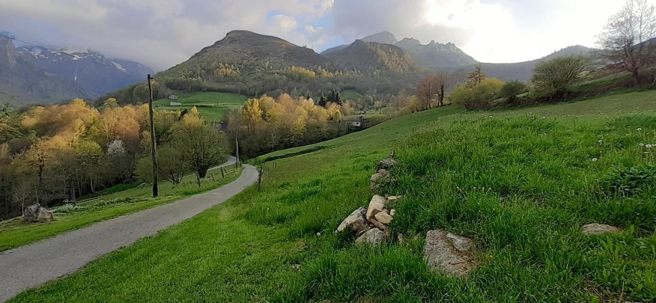 Appartement Habas Estaing Hautes Pyrenees Val D'Azun Kültér fotó