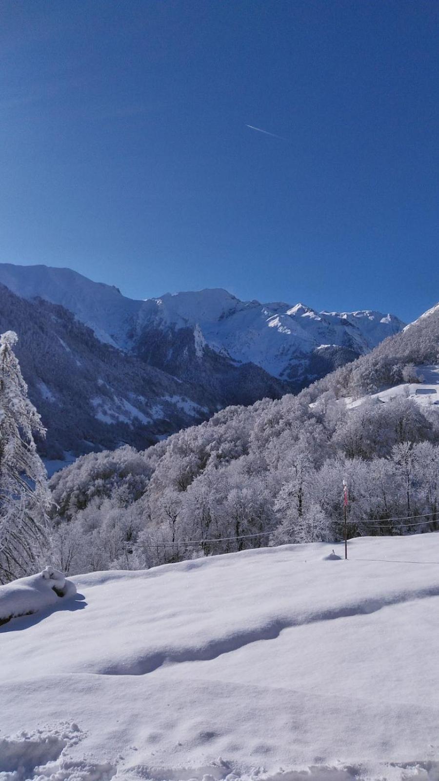 Appartement Habas Estaing Hautes Pyrenees Val D'Azun Kültér fotó